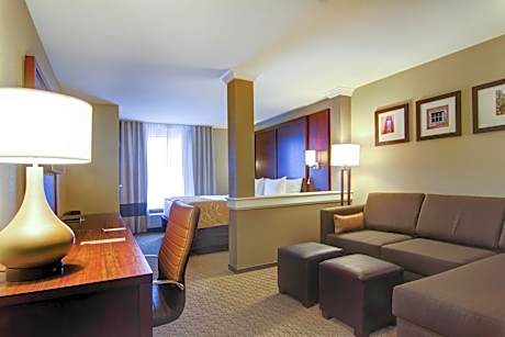 King Suite with  Roll-in-Shower - Accessible/Non-Smoking