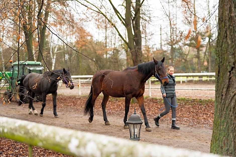 Apartamenty w Dworku Cheval