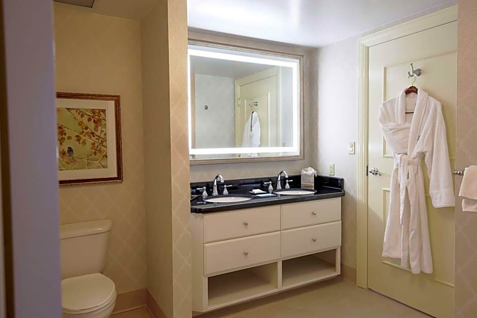 Hilton Baton Rouge Capitol Center