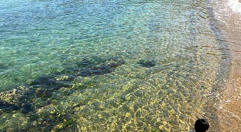 Shodoshima Olive Youth Hostel