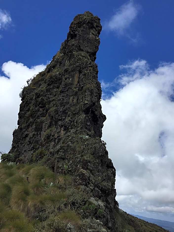 Bubbles Lodge Kinangop