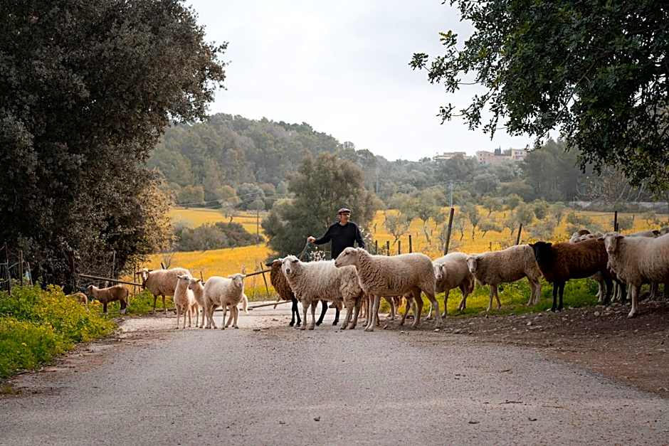 S'Hort de Son Caulelles - Adults Only