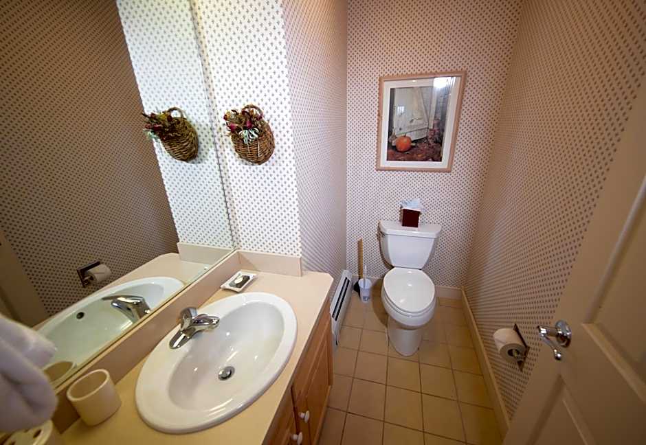 Solitude Village at Okemo