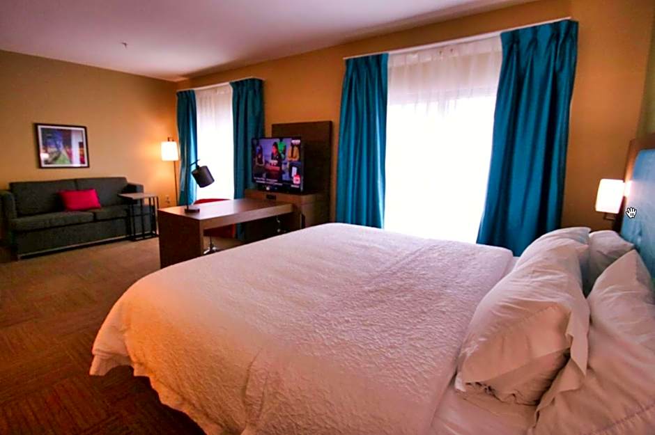 Hampton Inn By Hilton & Suites Jacksonville Beach Boulevard/Mayo Clinic