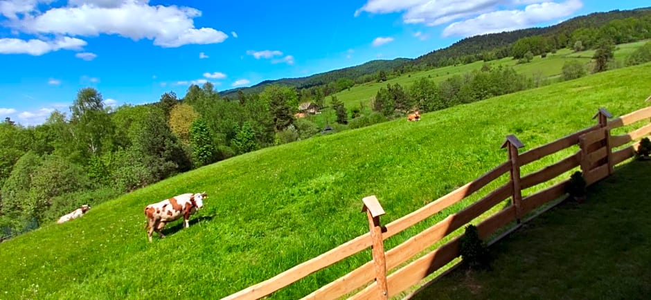 Góralskie Domki na Podhalu - z jacuzzi