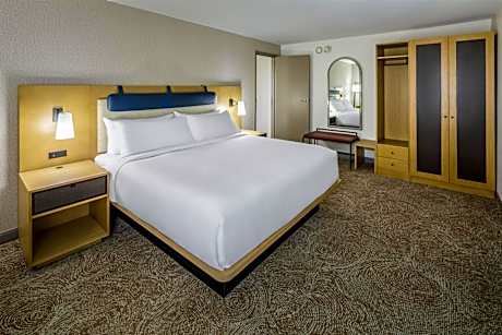 Junior King Suite with Seating Area