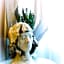 B&B San Benedetto