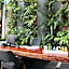 Roxy Sematan Villa & Townhouse