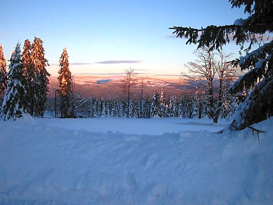Apartmány hotelu Ostrý