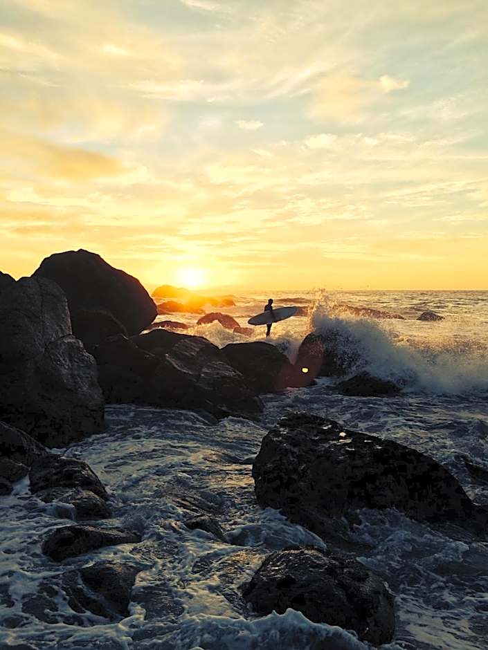 Bazils hostel & Surf School