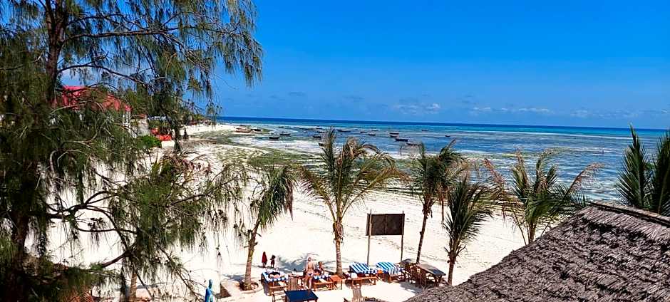 Aquarium Beach House