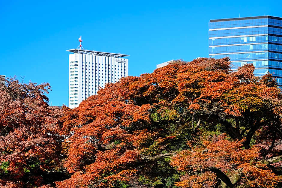 Hotel Century Southern Tower