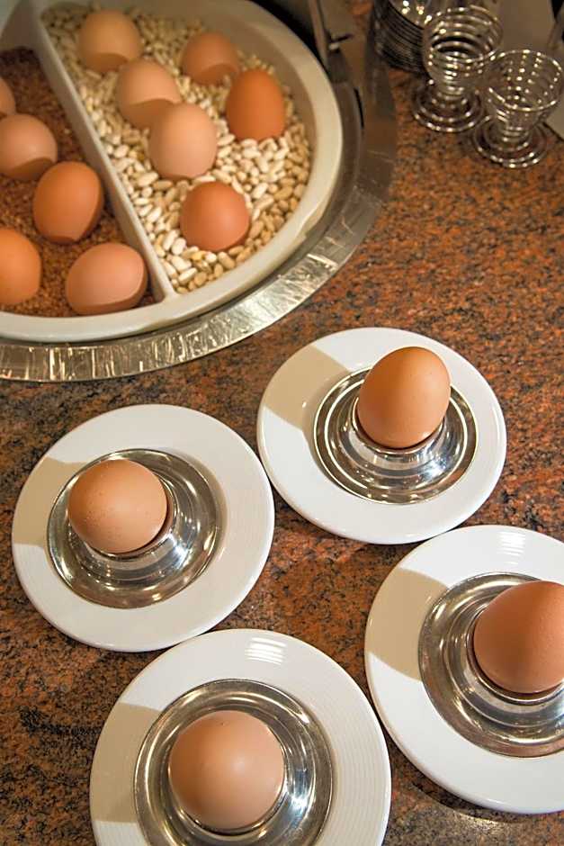 Rosslyn Dimyat Hotel Varna