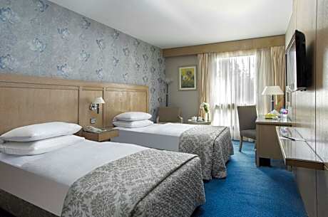 Deluxe Double or Twin Room with Garden View