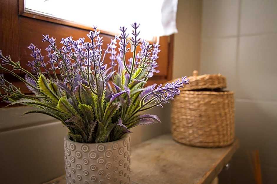 Bed and Breakfast Les Airelles