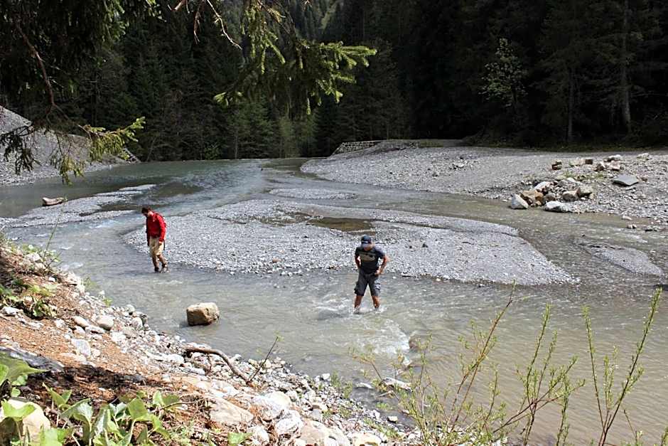 Alpenhotel Widderstein