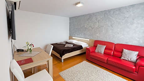 Luxury One-Bedroom Apartment