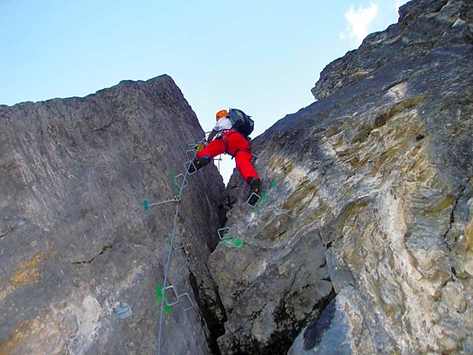Alpengasthof Enzianhof