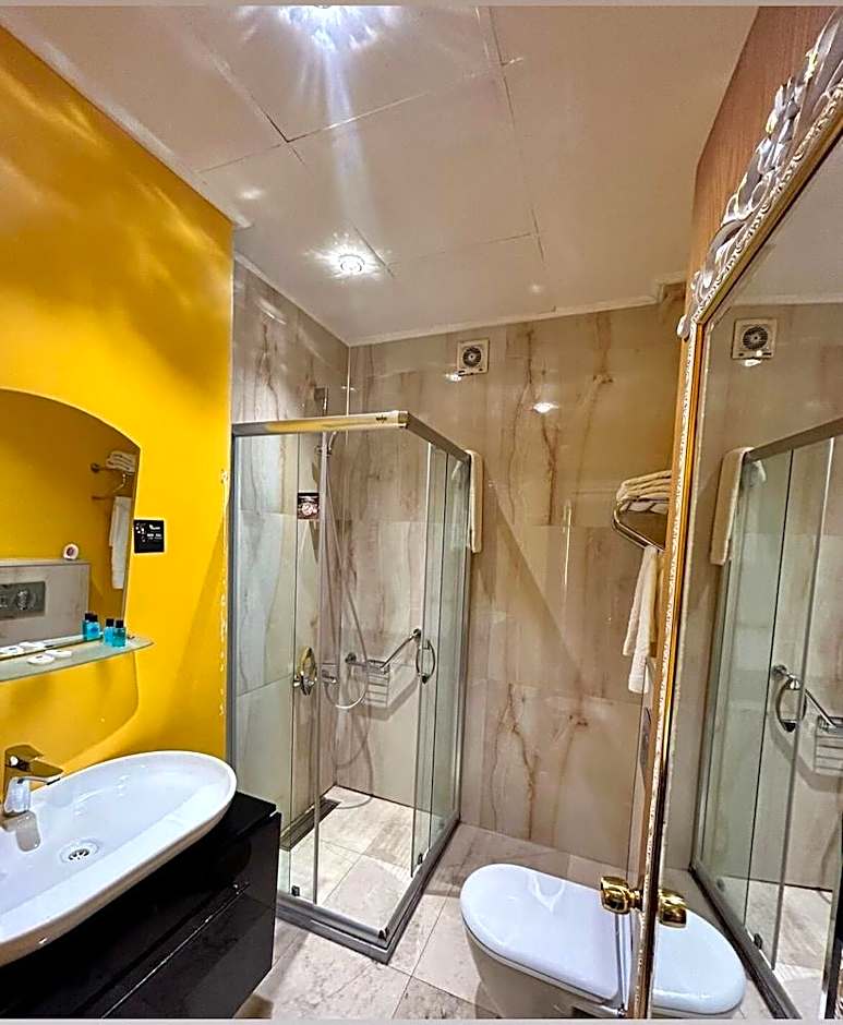 Bakirkoy Tashan Business & Airport Hotel