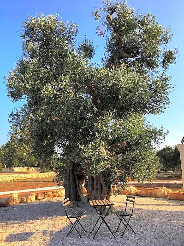 Boutique Hotel Masseria Sottomasi