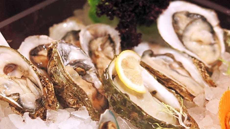 Holiday Inn Hohhot By IHG