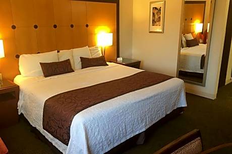 1 King Bed Non-Smoking