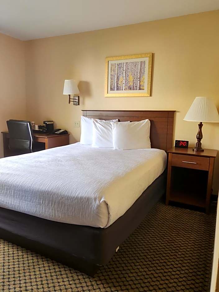 Luxury Inn & Suites