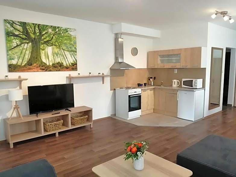 Apartmány U Stříbrných