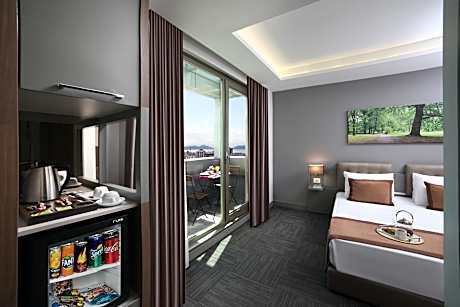 Executive Double or Twin Room