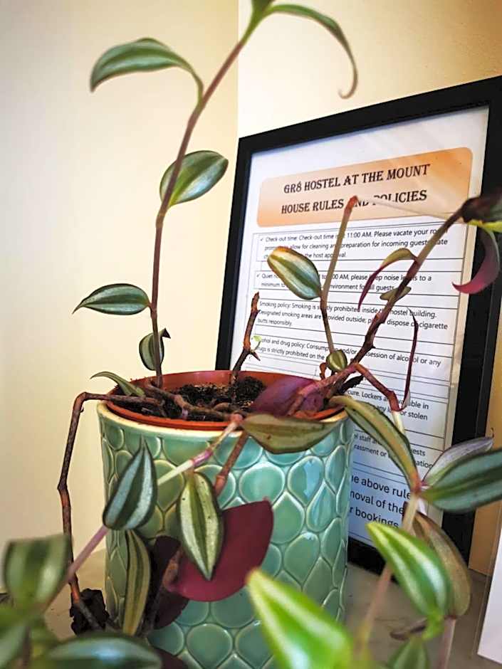 Gr8 Hostel at The Mount