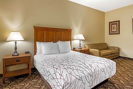 Queen Room with Bathtub - Disability Access