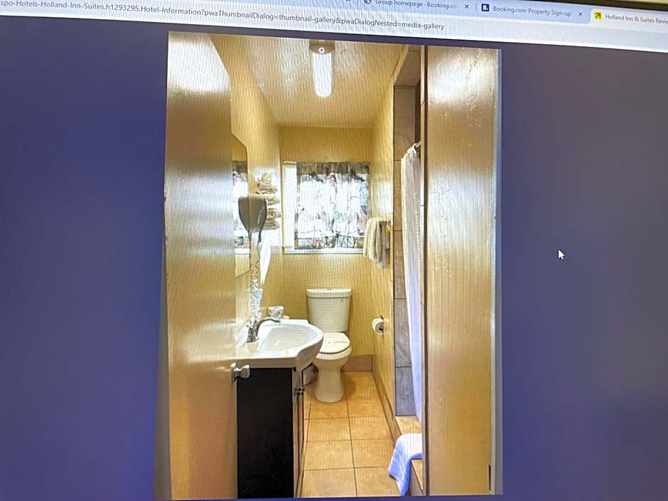 Holland Inn and Suites