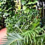 Oskar's Rain Forest Retreat