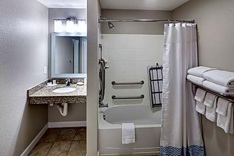 Suite, 1 Bedroom (1 Queen Bed and 1 Double Sofa Bed)