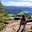 Pension Schlaneiderhof