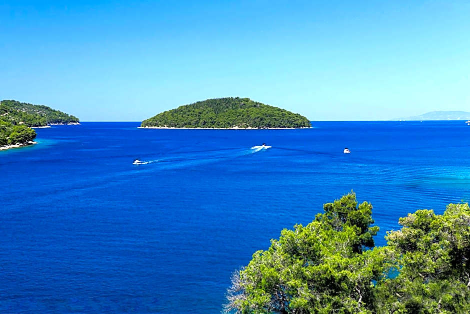 Boutique Hotel Villa Telenta