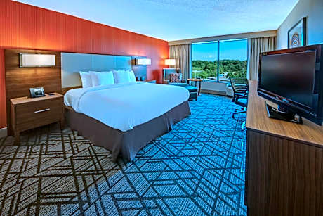 1 King Bed