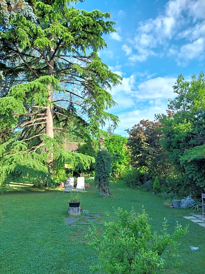 Rue du Château
