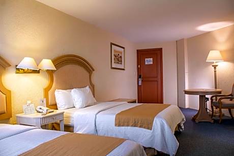 Executive Double Room - Non-Smoking