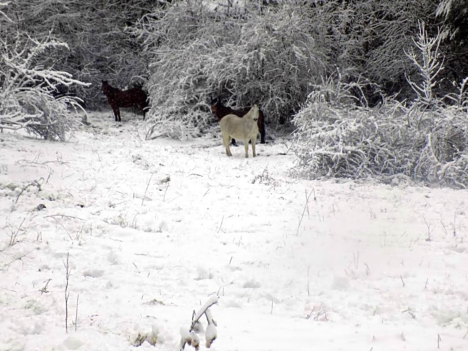 Can Gasparó Hotel Rural & Restaurant