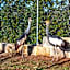 Masseria Borgo Segine - Relais nel Salento