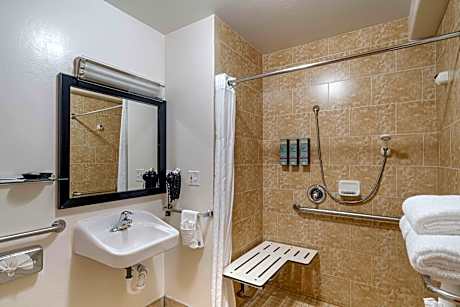 1 Queen Bed, Mobility Accessible, Communication Assistance, Roll In Shower, Non-Smoking, Full Breakf