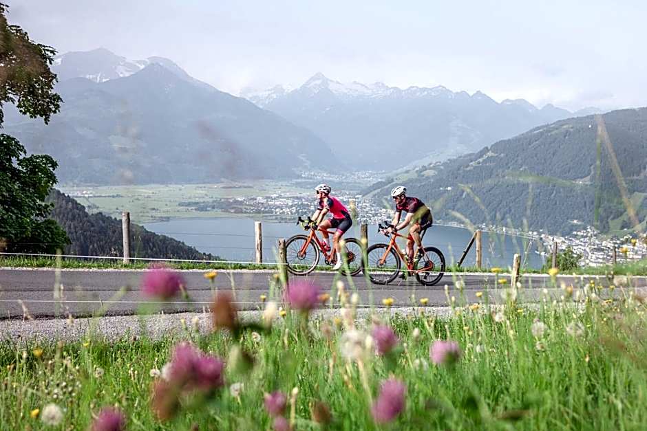 AlpenParks Chalet & Apartment Steve Lodge Viehhofen