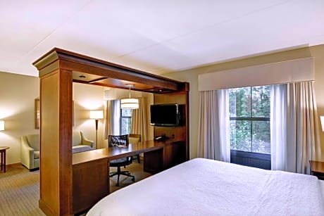 King Studio Suite with Sofa Bed - Non-Smoking