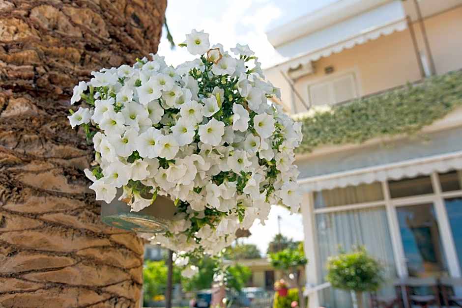Hotel Akti