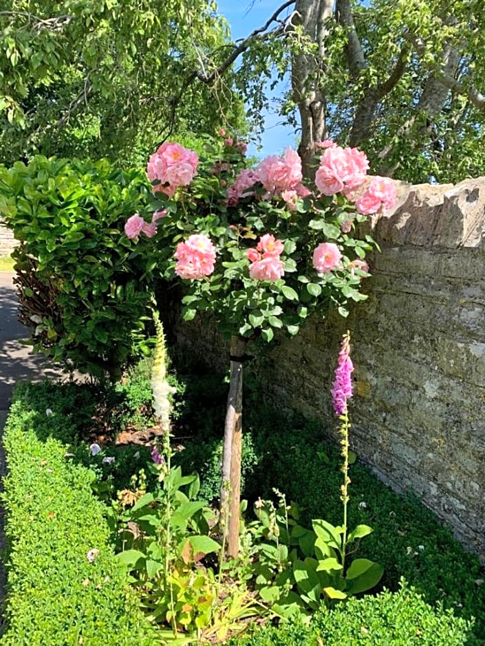 Parsnips House BnB Glastonbury