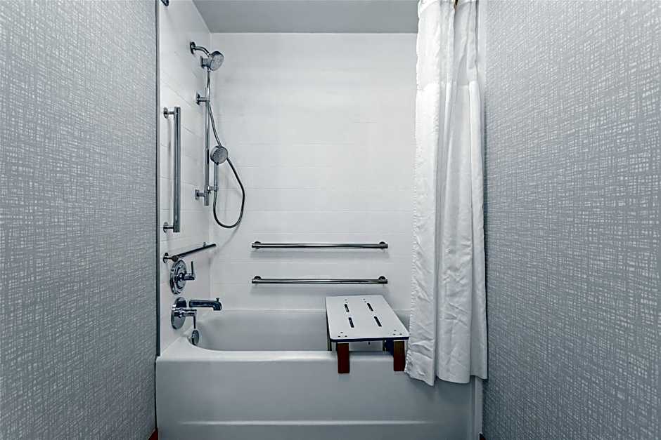 Hampton Inn By Hilton & Suites St. Petersburg/Downtown