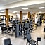 SALVEO Suites