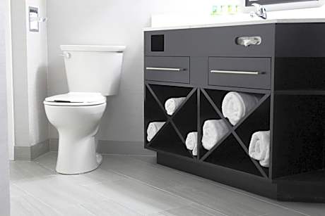 King Suite with Sofa Bed - Non-Smoking