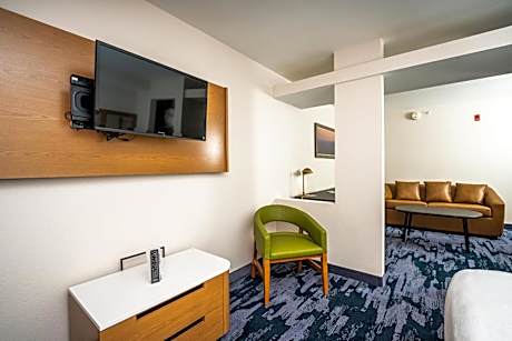 Executive King Suite